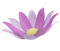 Purple Lotus