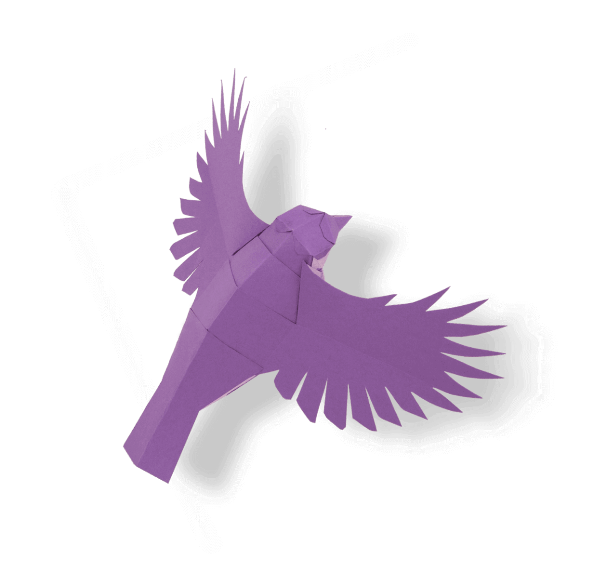 Purple bird
