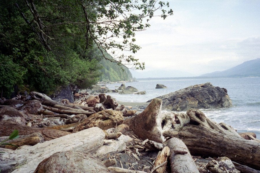 Activity Image