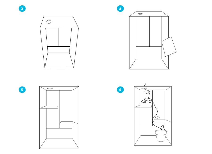 Activity Image