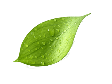 Unit Hydroelectricity and nature support image