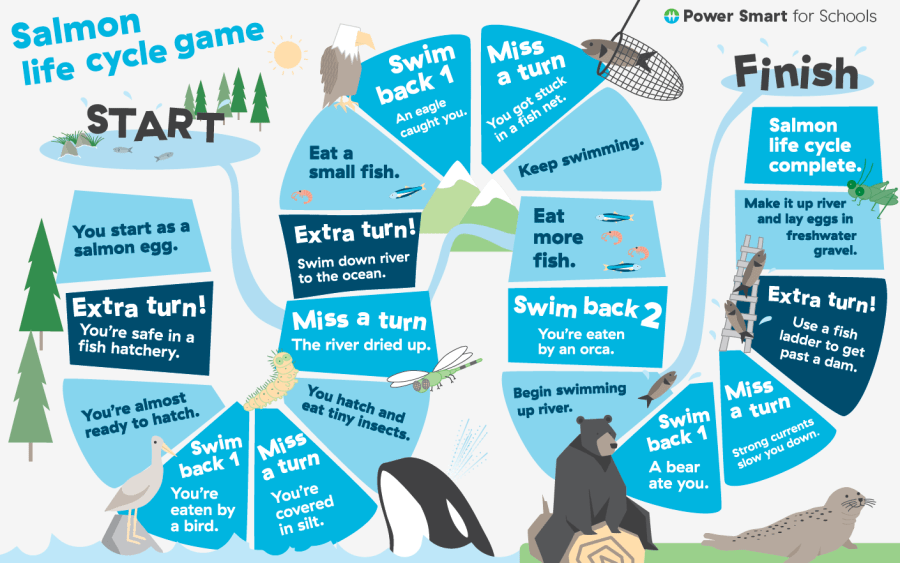 Salmon Life Cycle Game hydro Power Smart For Schools