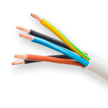 Lesson Electricity in the Body support image