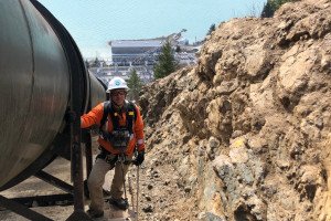 Environmental Specialist - Wildlife Biologist