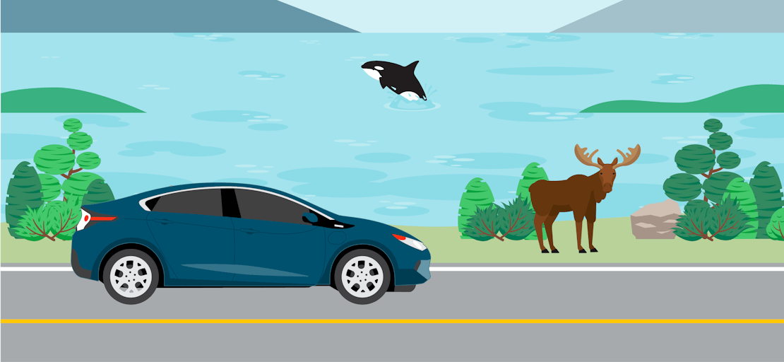 Investigating electric vehicles image