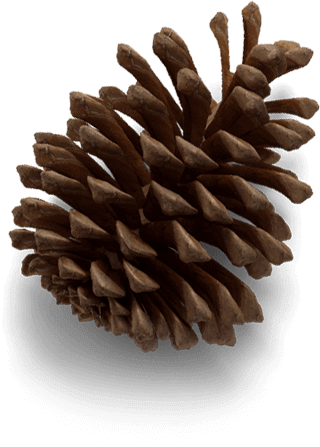 Object 5