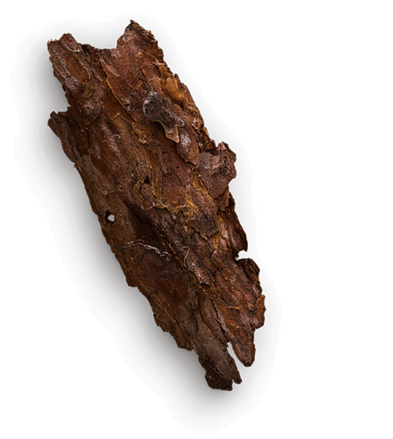 Object 2